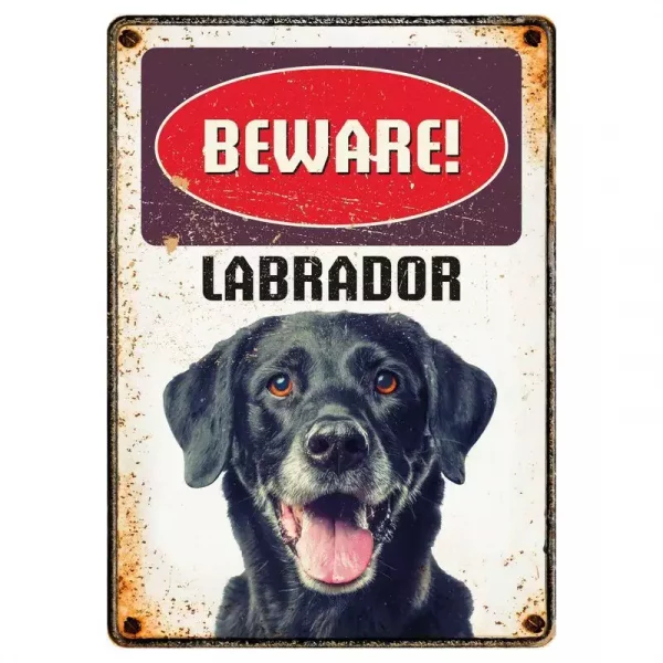 Webshop für Terraristik und Aquaristik | Metallschild "Beware Labrador black (v)"