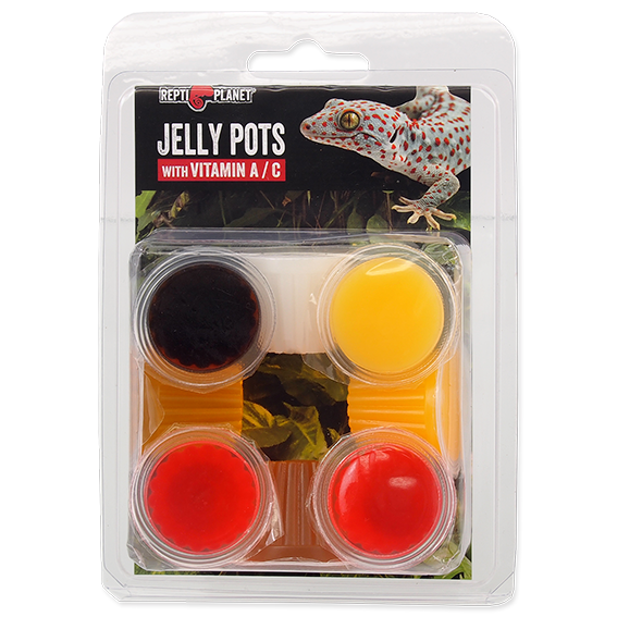 4Länder Zoo - Webshop für Terraristik und Aquaristik |Jelly Pots