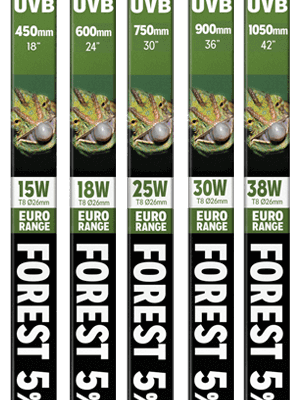 4Länder Zoo - Webshop für Terraristik und Aquaristik | T8 Euro Range Forest 5% UVB Lamp