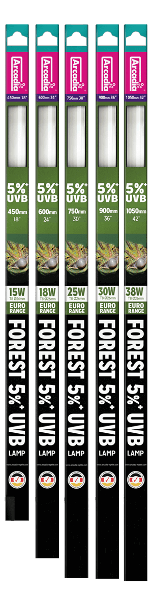 4Länder Zoo - Webshop für Terraristik und Aquaristik | T8 Euro Range Forest 5% UVB Lamp